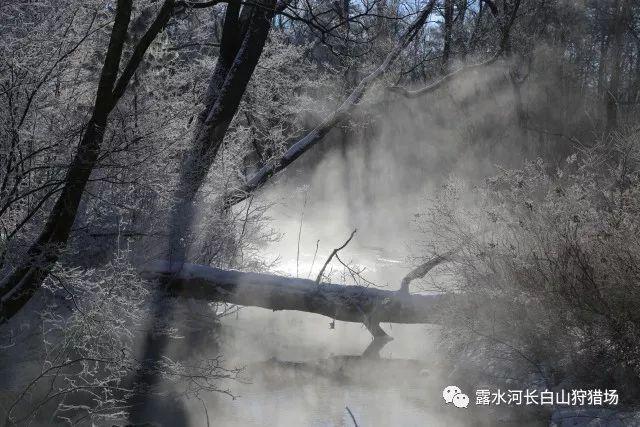 探索保温桶装饭用什么方法才不会馊?,解答你的疑惑
